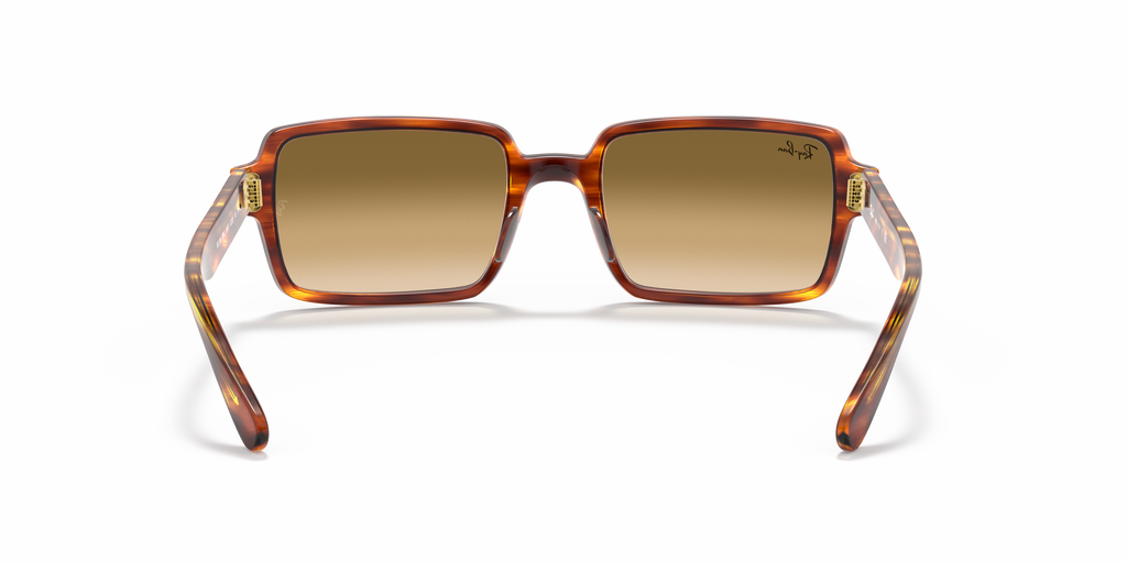 Ray Ban - BENJI - RB2189