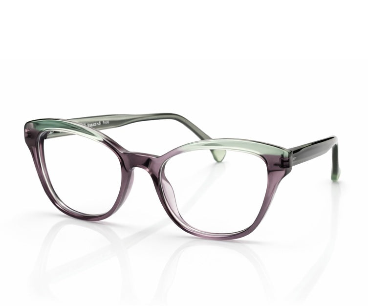 B! 2189 Eyeglasses by David Jones