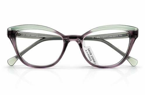 B! 2189 Eyeglasses by David Jones