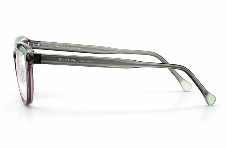 B! 2189 Eyeglasses by David Jones